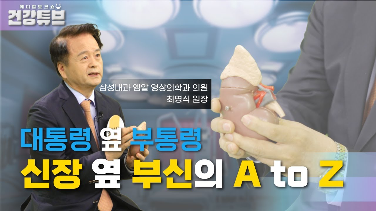 [KNN건강튜브] 생명유지에 꼭 필요한 부신 이야기