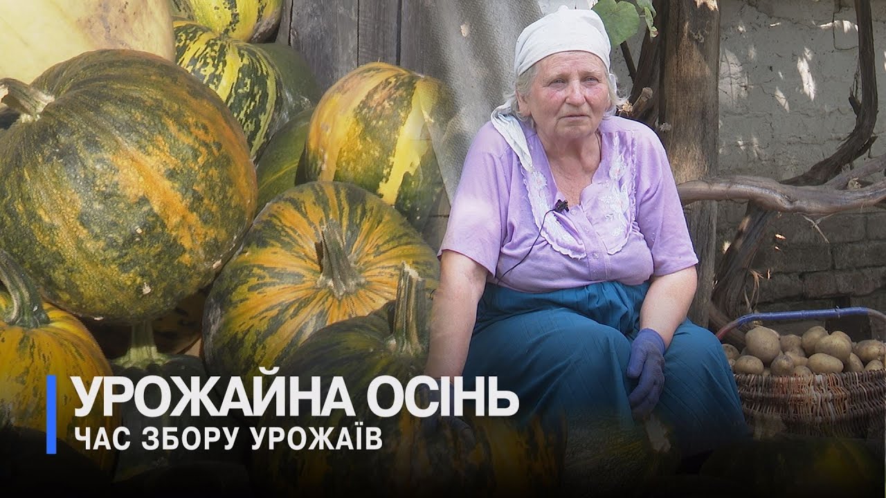 Життя села восени - традиційні роботи на полях