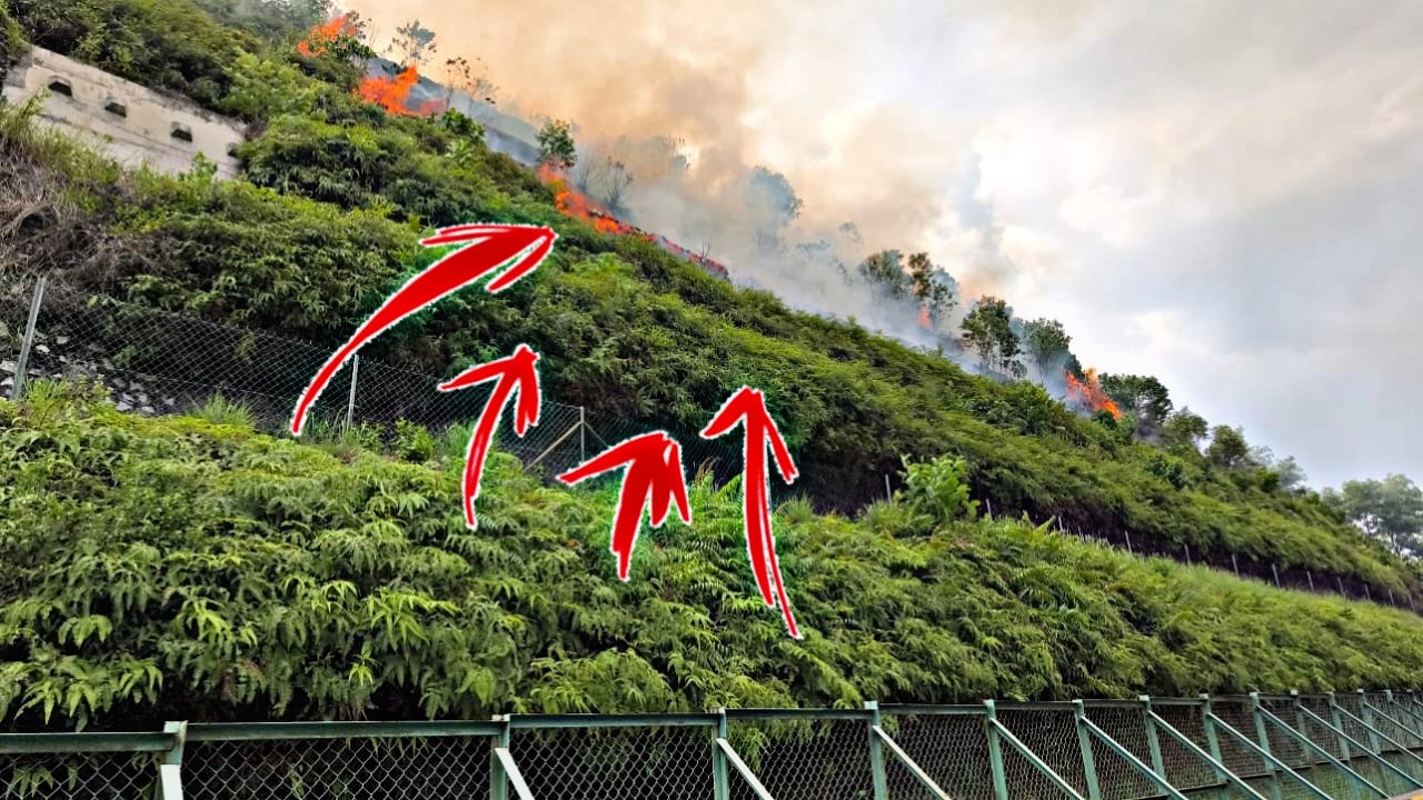 💢KEBAKARAN HUTAN LERENG BUKIT PUNCAK JALIL🔥😱
