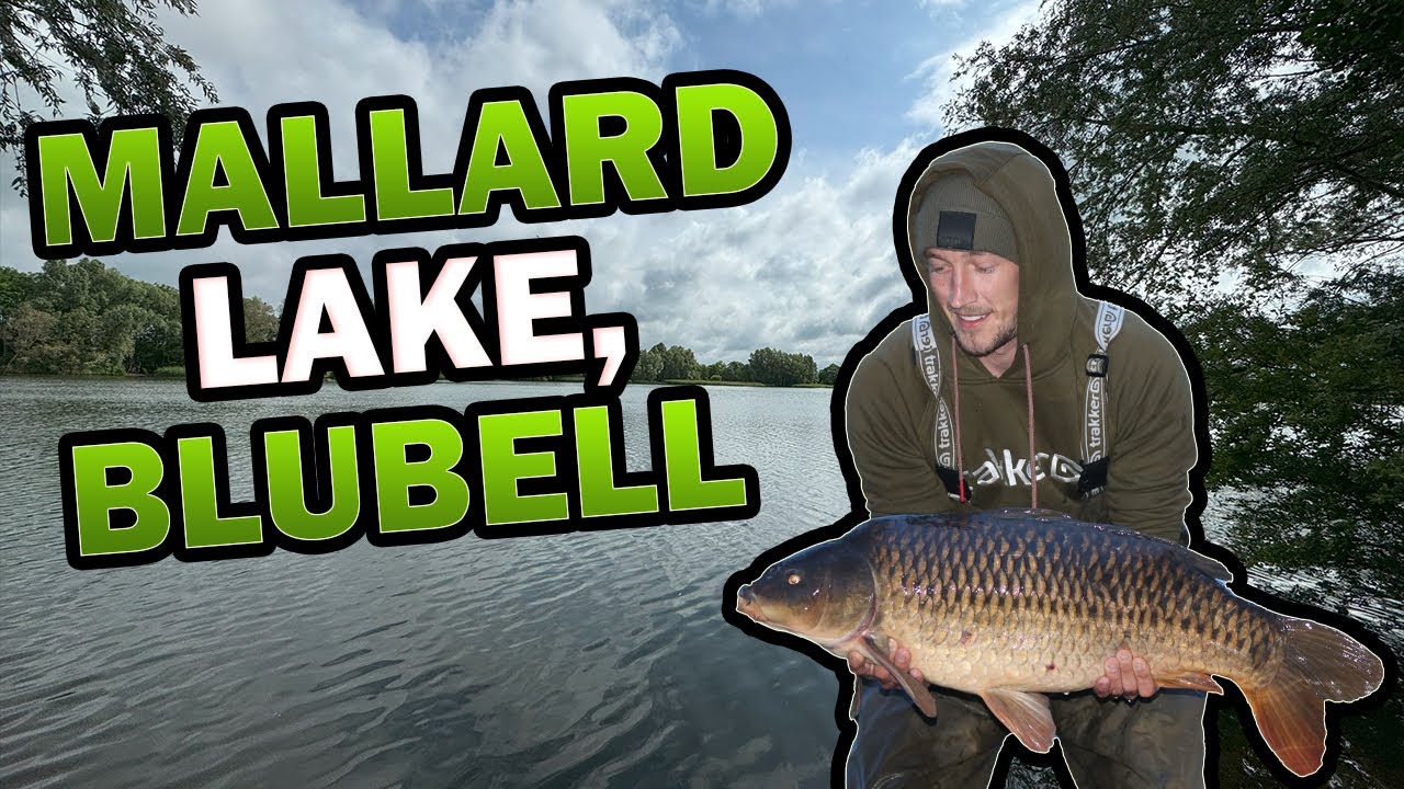 Carp Fishing at Bluebell Lakes - Mallard Lake Vlog