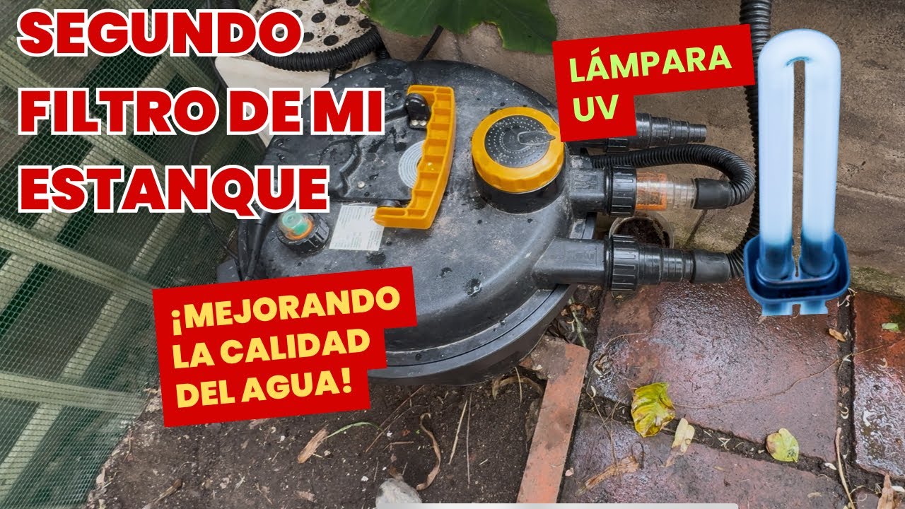 Añadí un segundo filtro mas grande para el estanque de mi patio