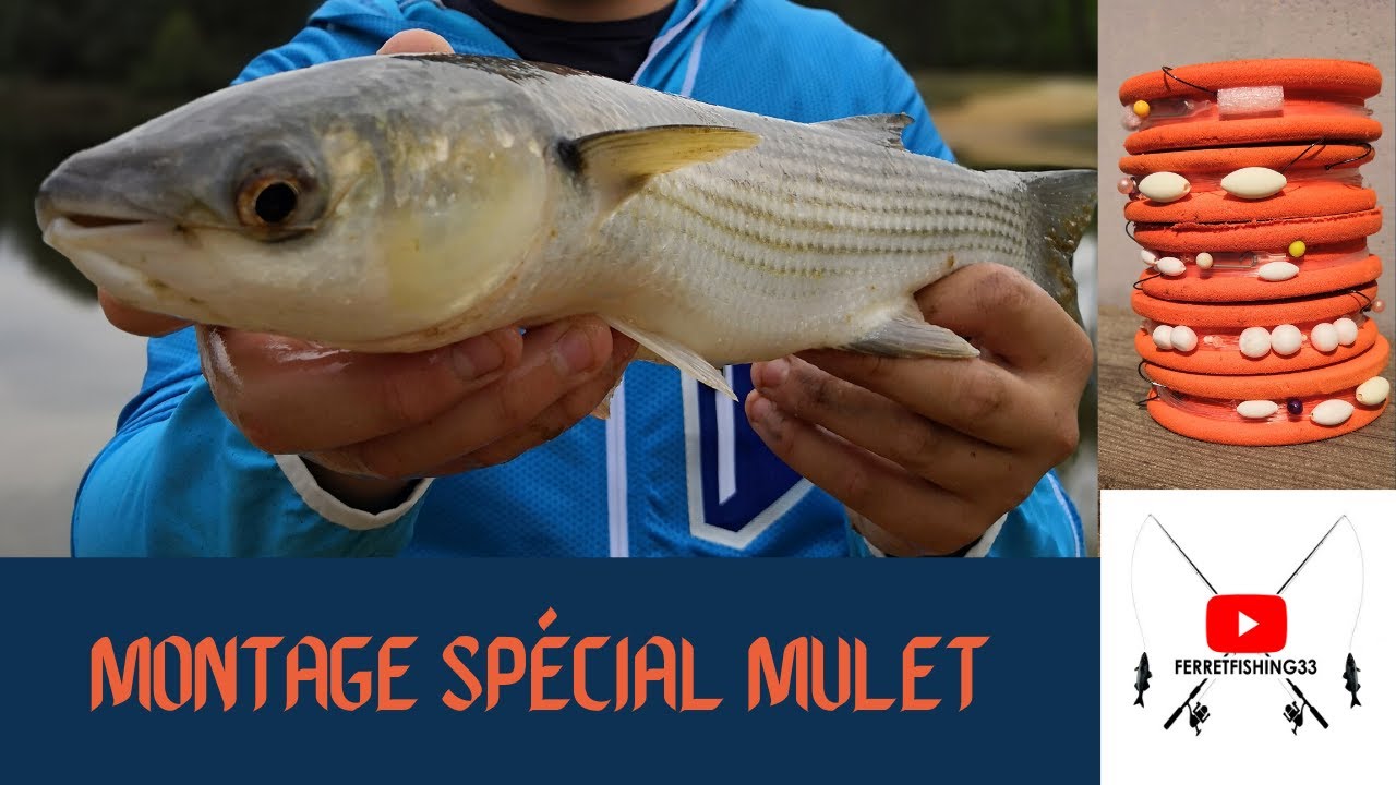 Tuto SURFCASTING 1: montage spécial MULET