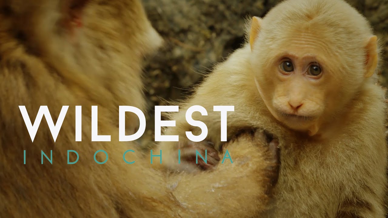 Southwest China: China's Secret Garden 4K
