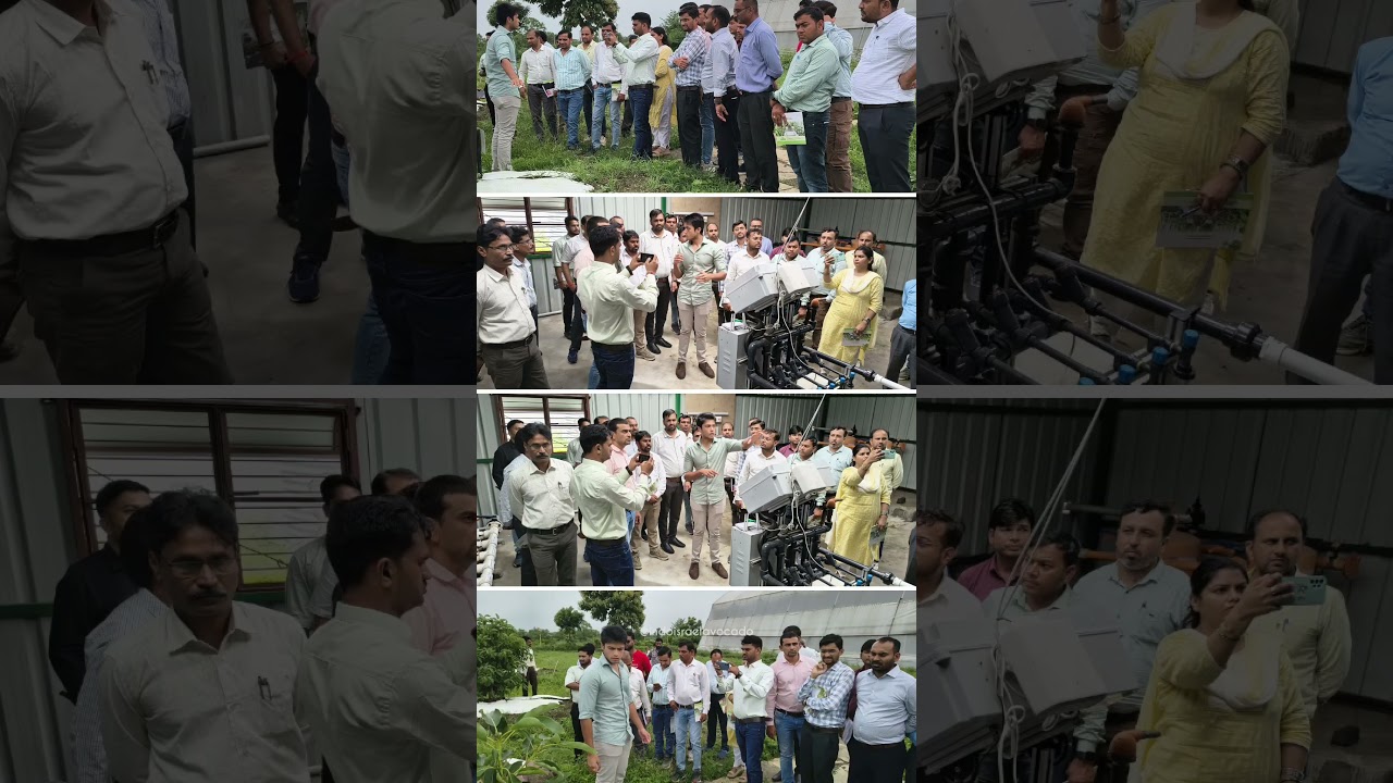 MP Horticulture Department Farm Visit Indo Israel Avocado | +91-6268643227  #avocado #avocadofarming