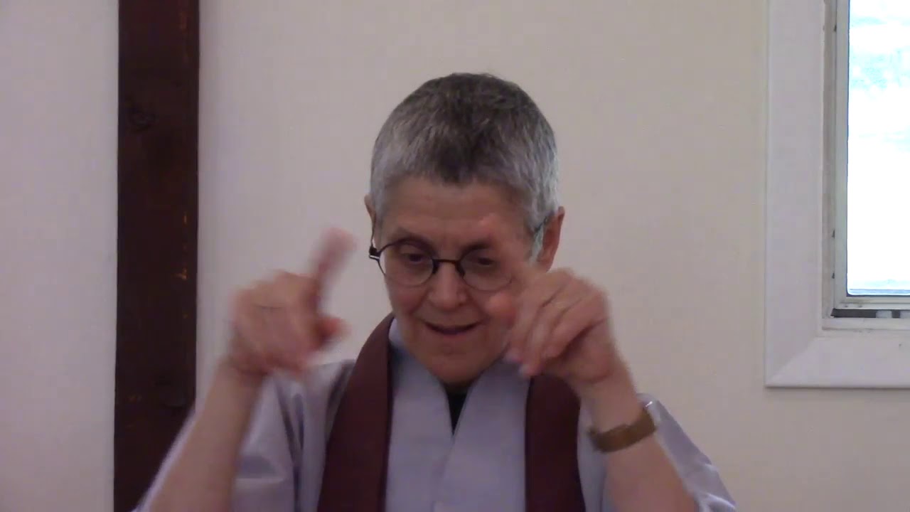 Judy Roitman The Limits of Thinking.