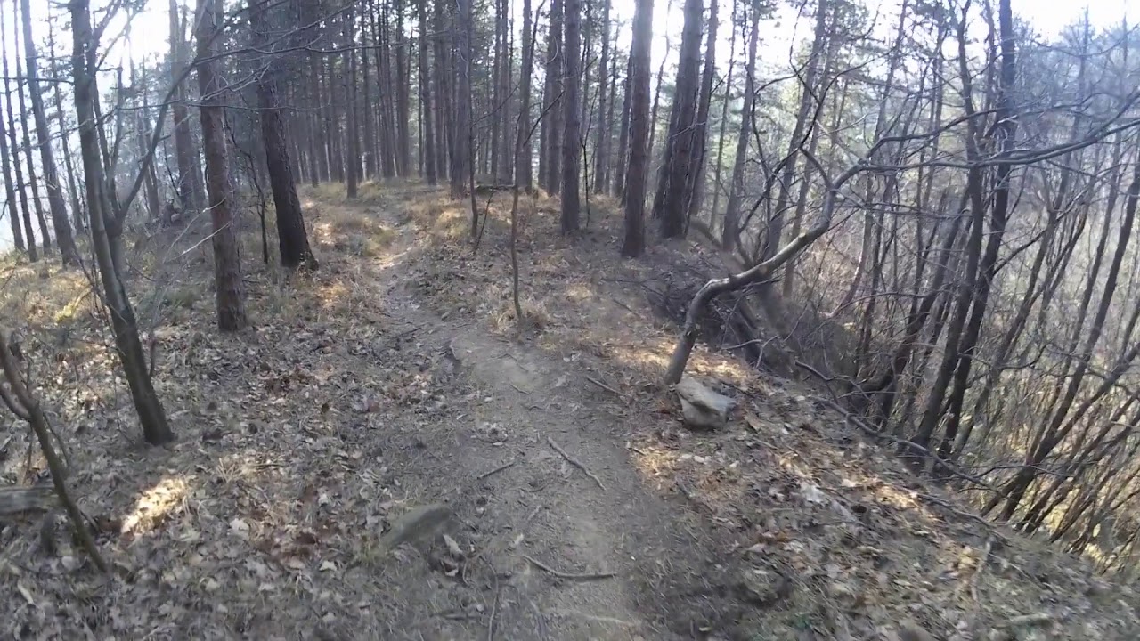 MUSINE MIOSA MTB trail (TO)