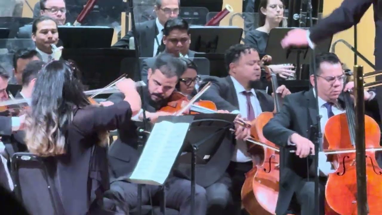Op. 98 Brahms. IV. Allegro energico e passionato – Più Allegro, en mi menor 3/4
