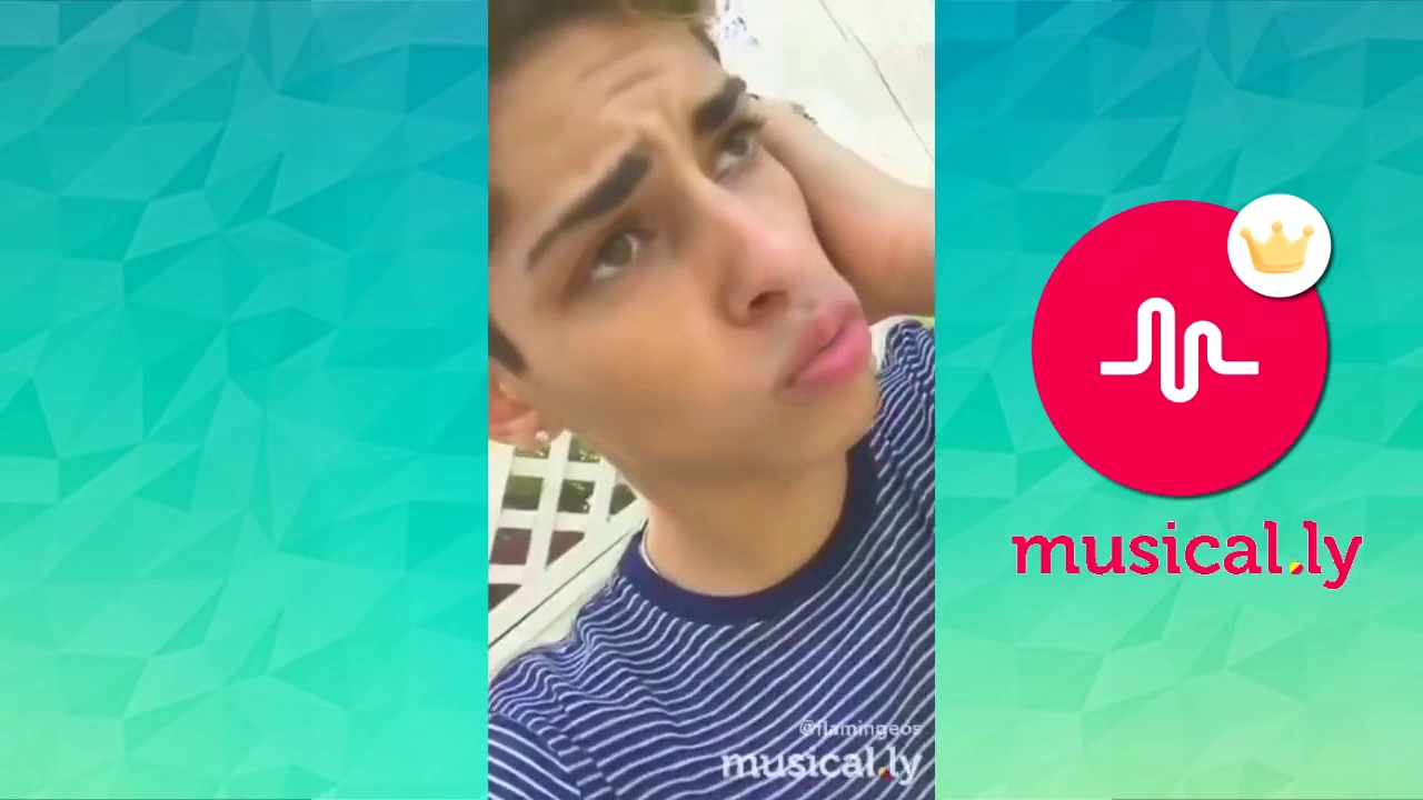 @flamingeos musically compilation