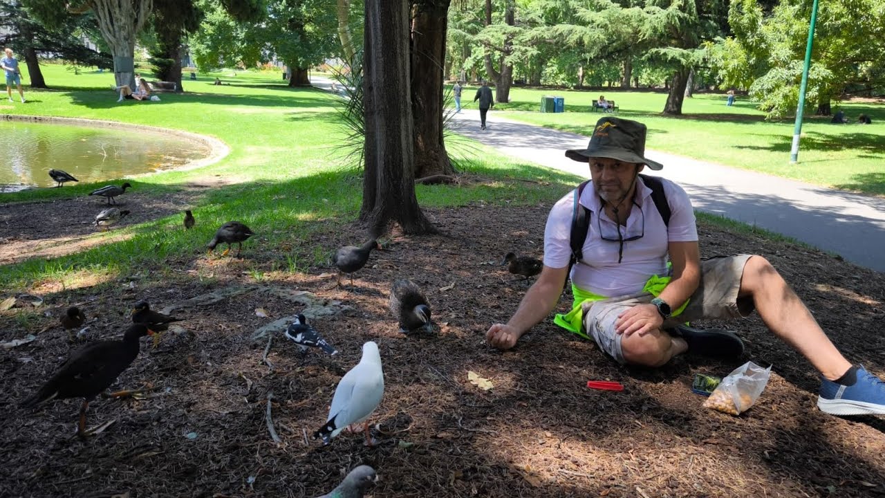 AVUSTRALYA' GEZİSİ Melbourne müzesi ,St Kilda beach ,caddeler parklar