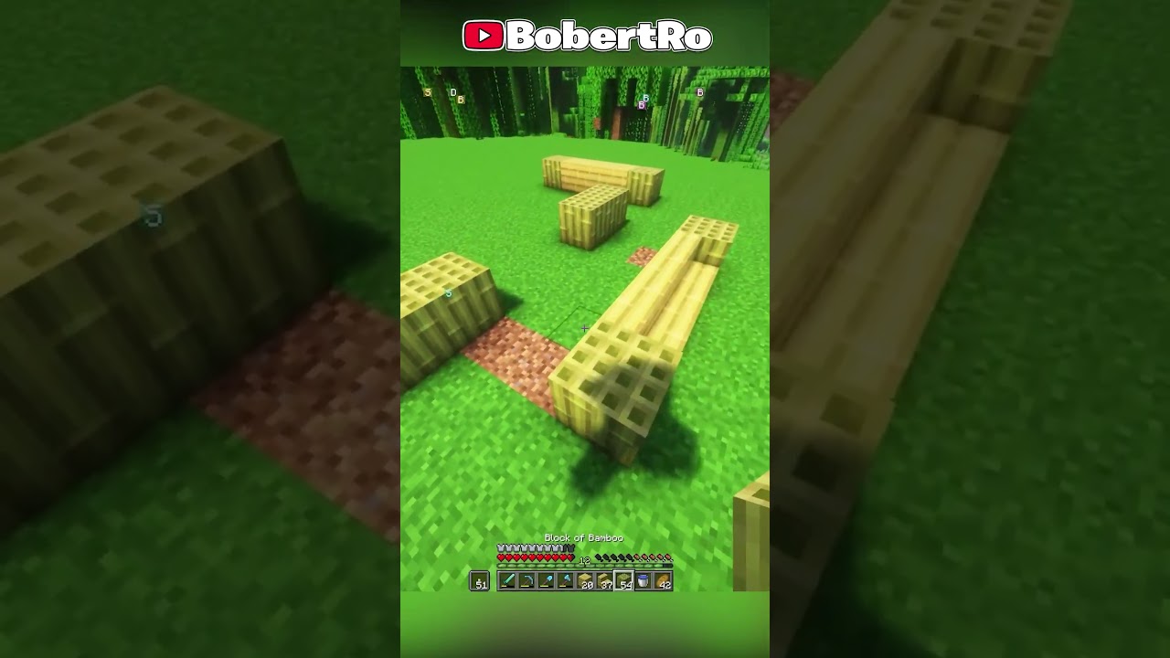 Schita Casei din BAMBUS pe Minecraft PALMYCRAFT #shorts