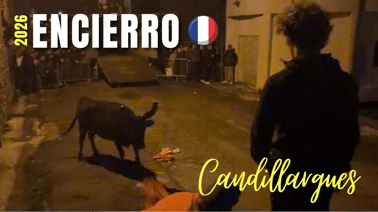 🚨 Enfin le retour de nos traditions de rues 😊 Encierro à Candillargues le 07/02/2026 👍🏼