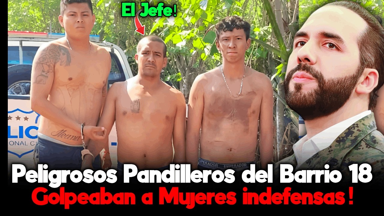 El Criminal que Golpeó a una Mujer y Aún Tiene Defensores