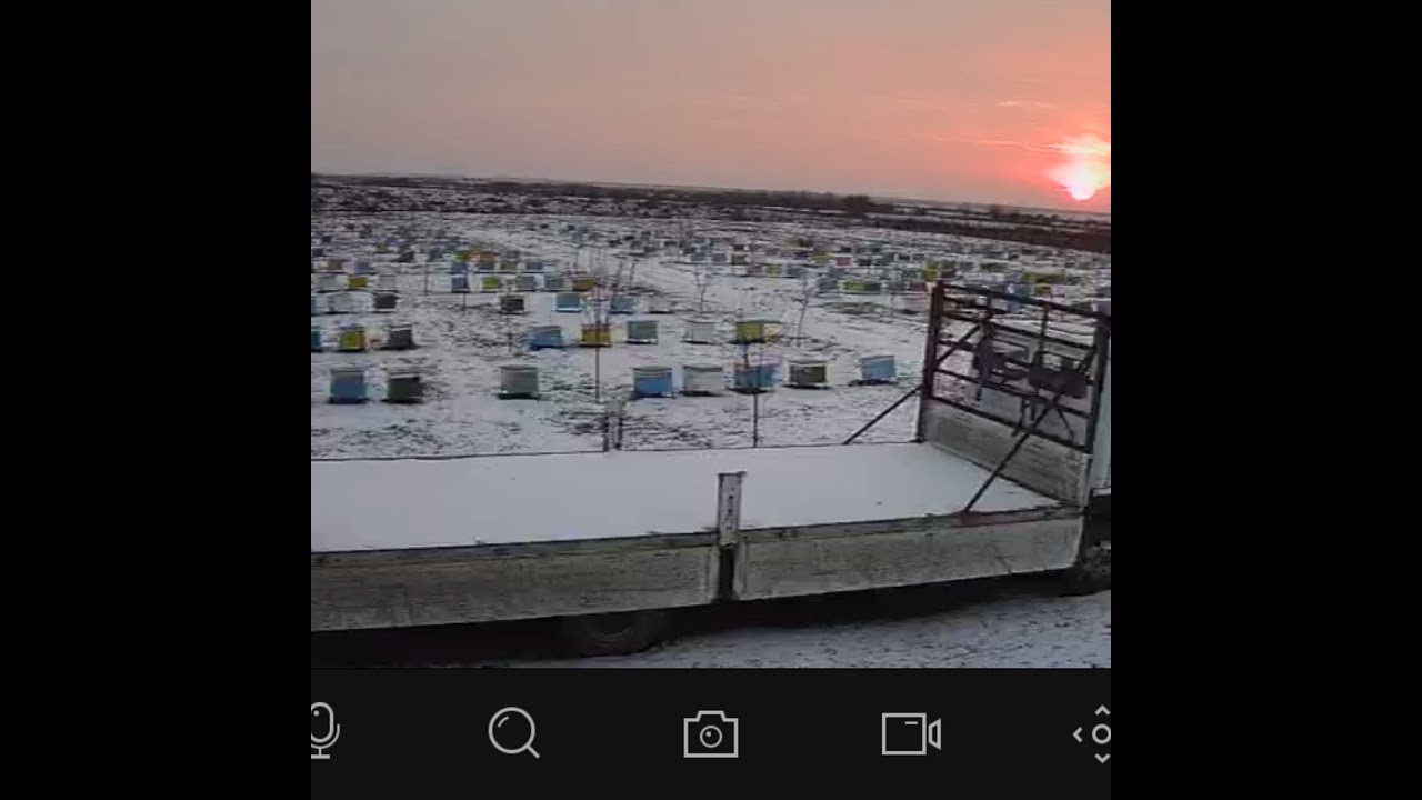 Mai au apicultorii cei 7 ani de acasă ??