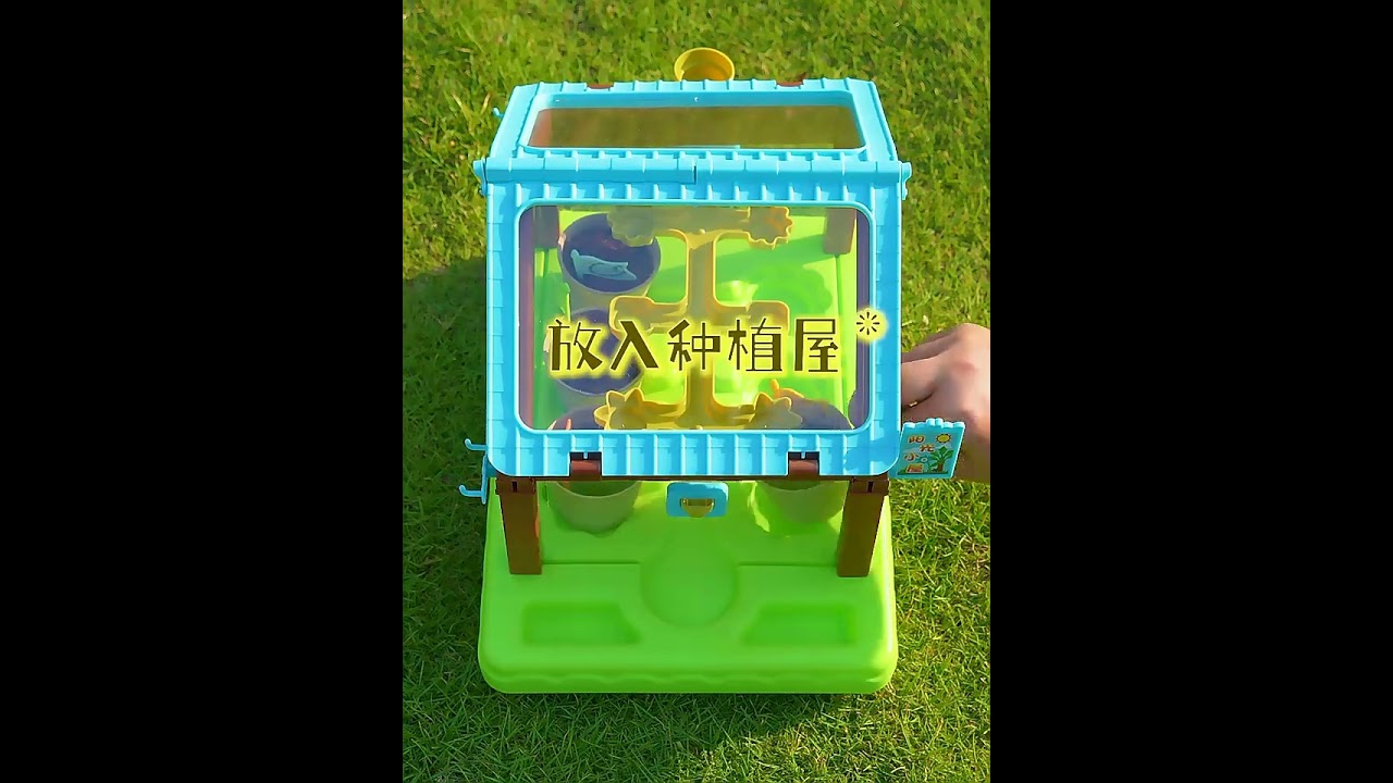 Seed Growing Kit
