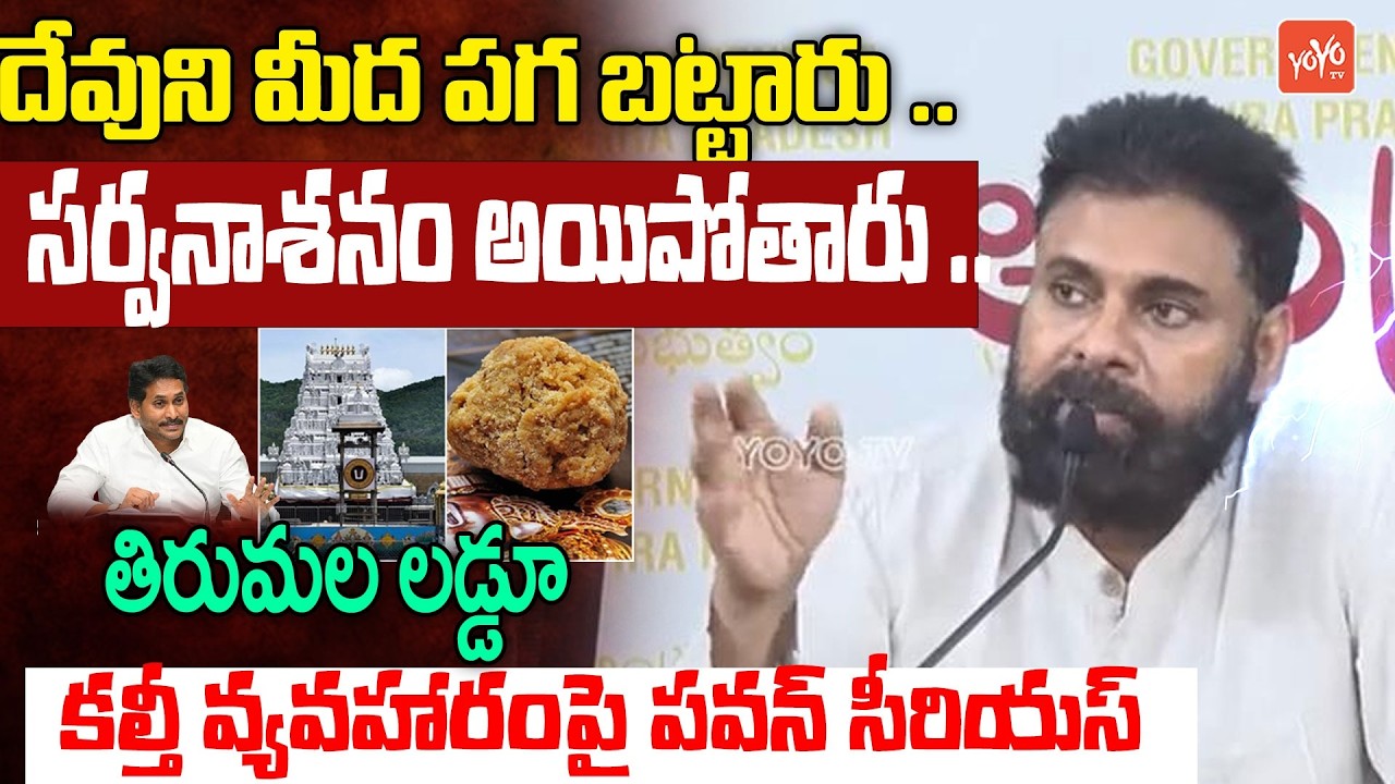 సర్వనాశనం అయిపోతారు ..Dy CM Pawan Kalyan Sensational Comments On Jagan | Thirumala Laddu | YOYO TV