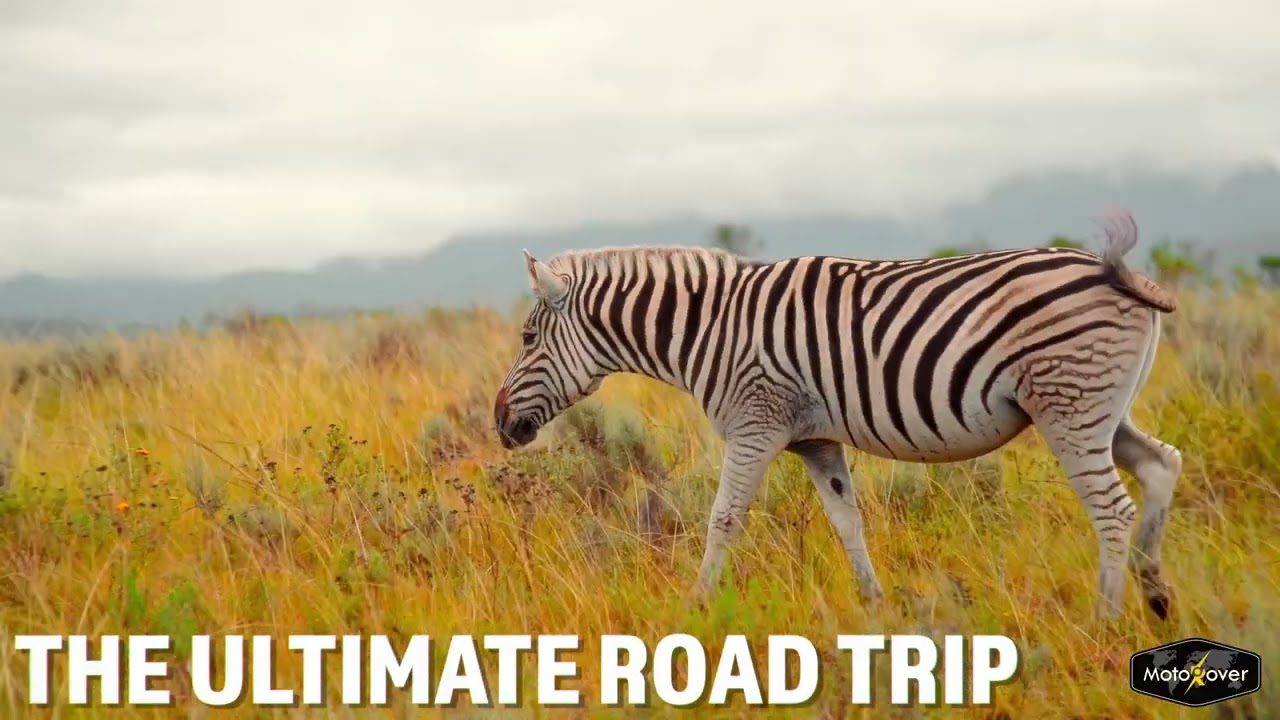 South Africa Self- Drive Road Trip 2025
