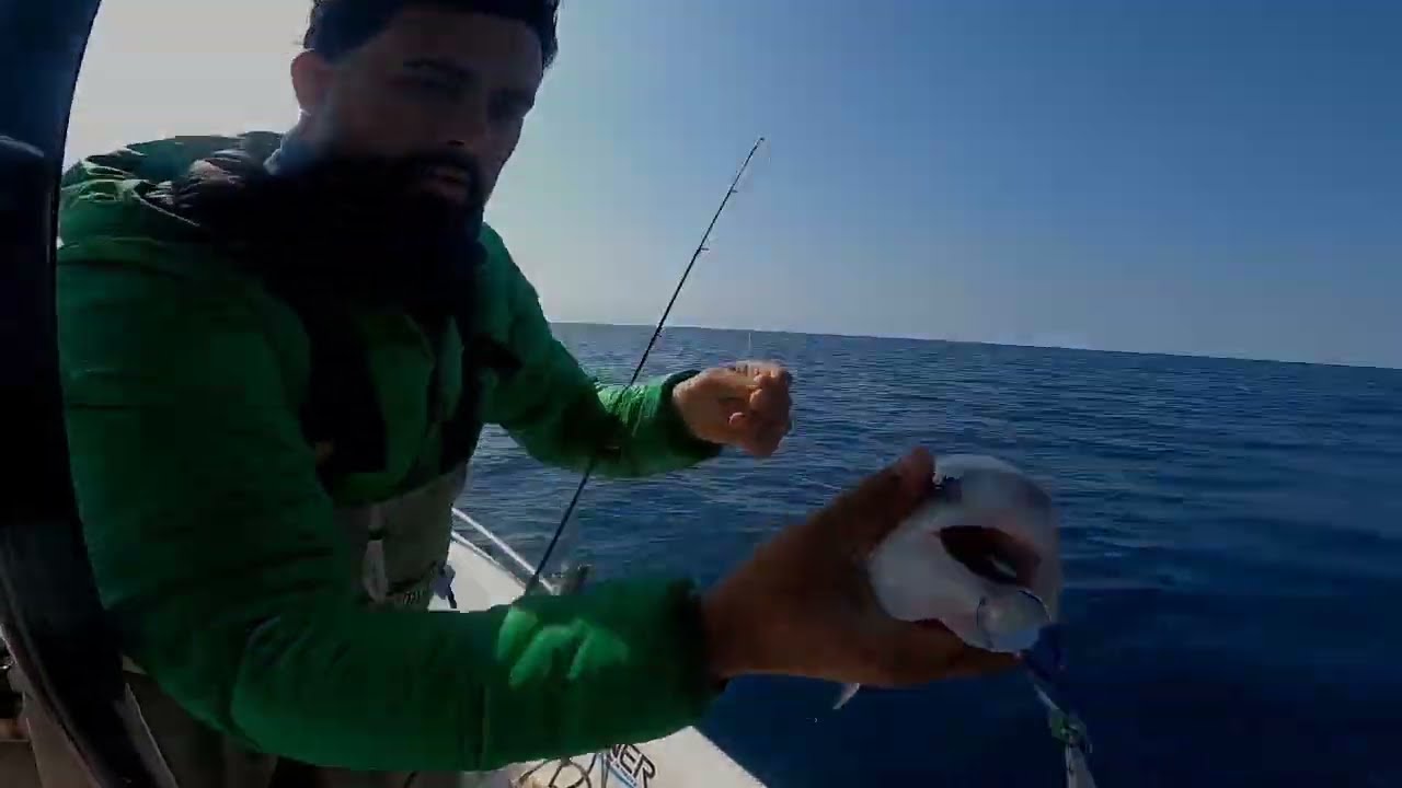 صيد السمك في الجزائر 2026 la pêche en algérie un limon سمكة الليمو