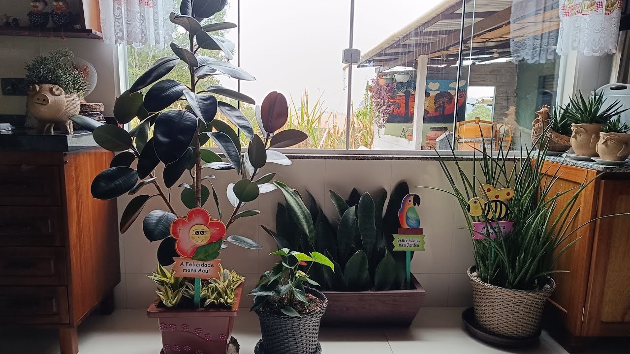 Meus vasos velhos ficaram novos! To enchendo meu suporte de latinhas!