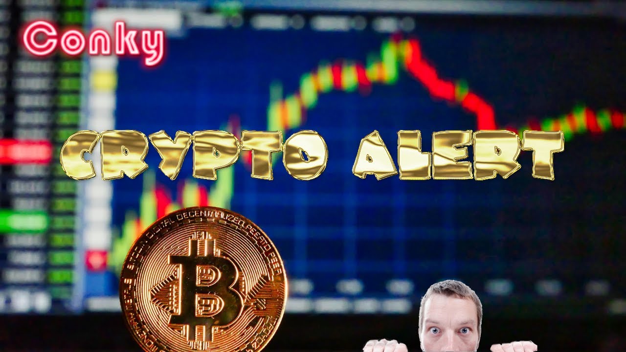 CONKY CRYPTO ALERT (single coin)