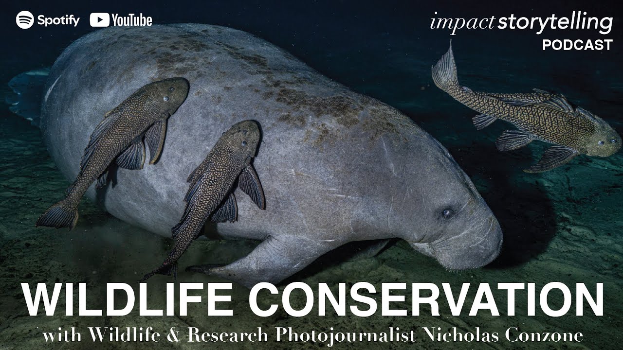 Wildlife and Research Photojournalism with Nicholas Conzone