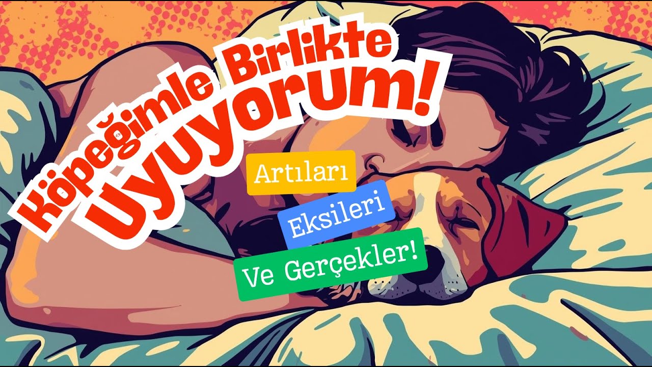 ​Köpeğimle Birlikte Uyuyorum! İşte Deneyimlerimiz ve Tavsiyelerimiz. #doglife #viralvideo