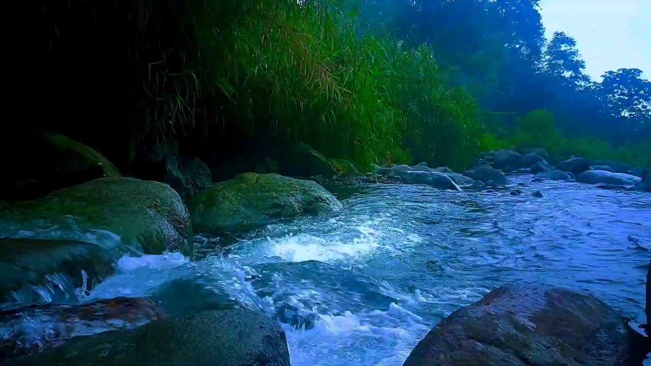 🌊 Soft Flowing River ASMR Sounds for Deep Sleep, Relaxation & Mental Calm