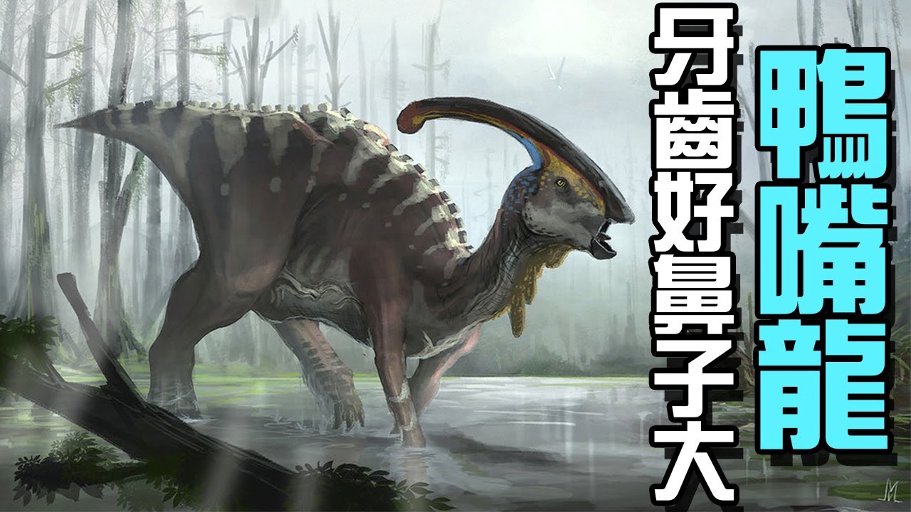 鴨嘴龍：牙好，嘿，胃口就好！吃啥都香，身體很棒！丨鳥臀類03丨恐龍時代