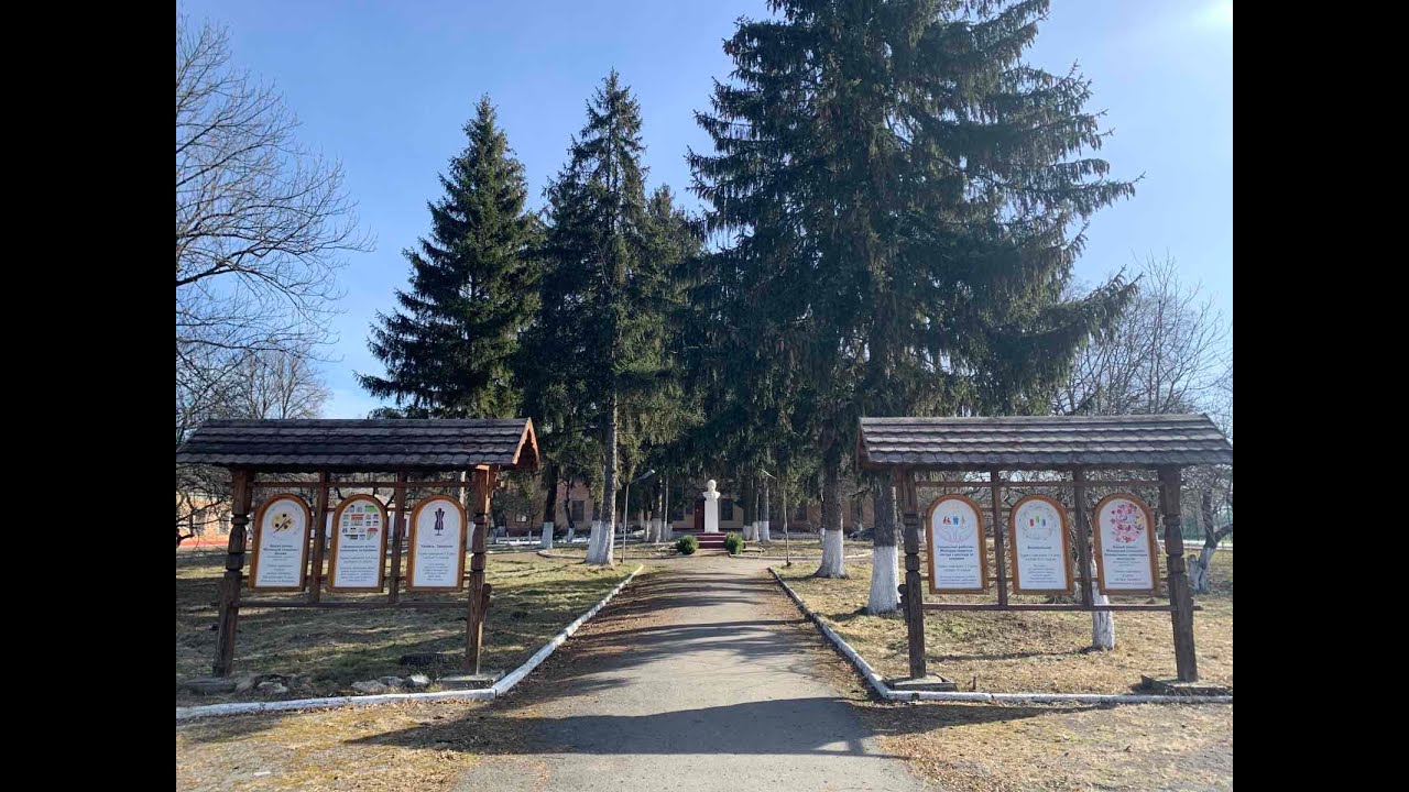 ВХПУ №19 смт. Гриців. Анастасія Петрачук. МОЯ ПРОФЕСІЯ НАЙКРАЩА-2021