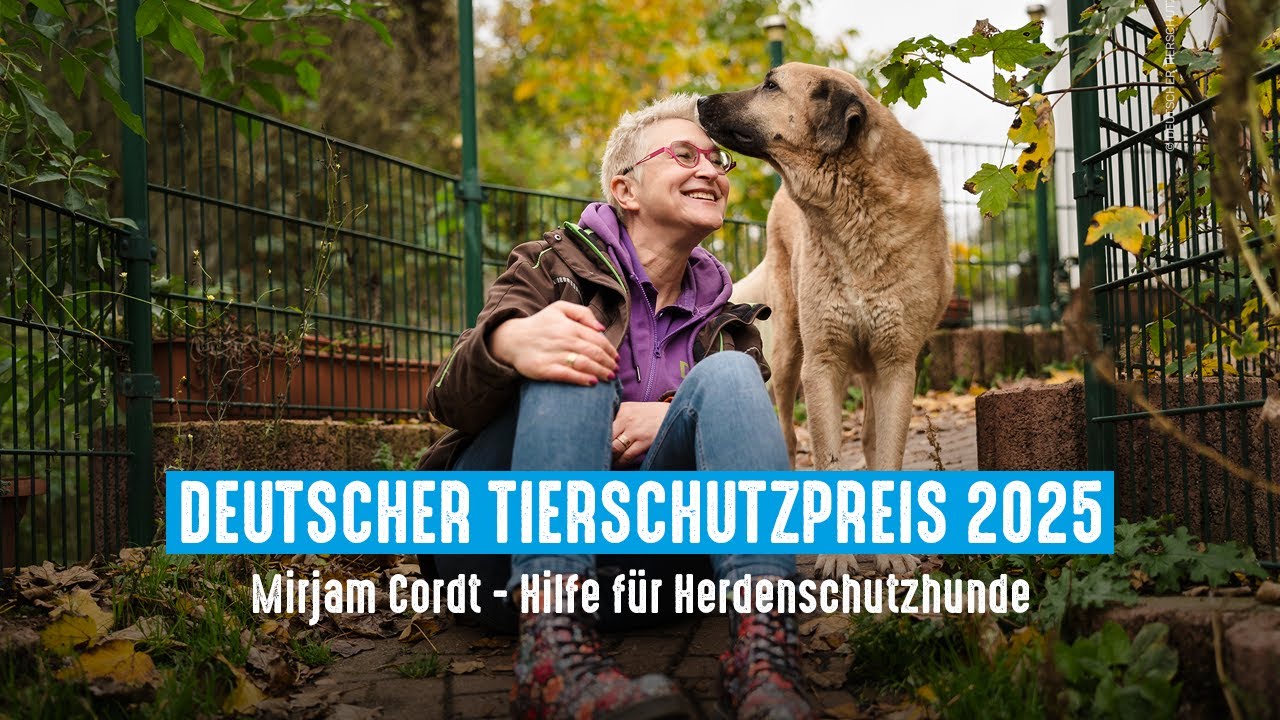 Deutscher Tierschutzpreis 2025 für Mirjam Cordt - Hilfe für Herdenschutzhunde
