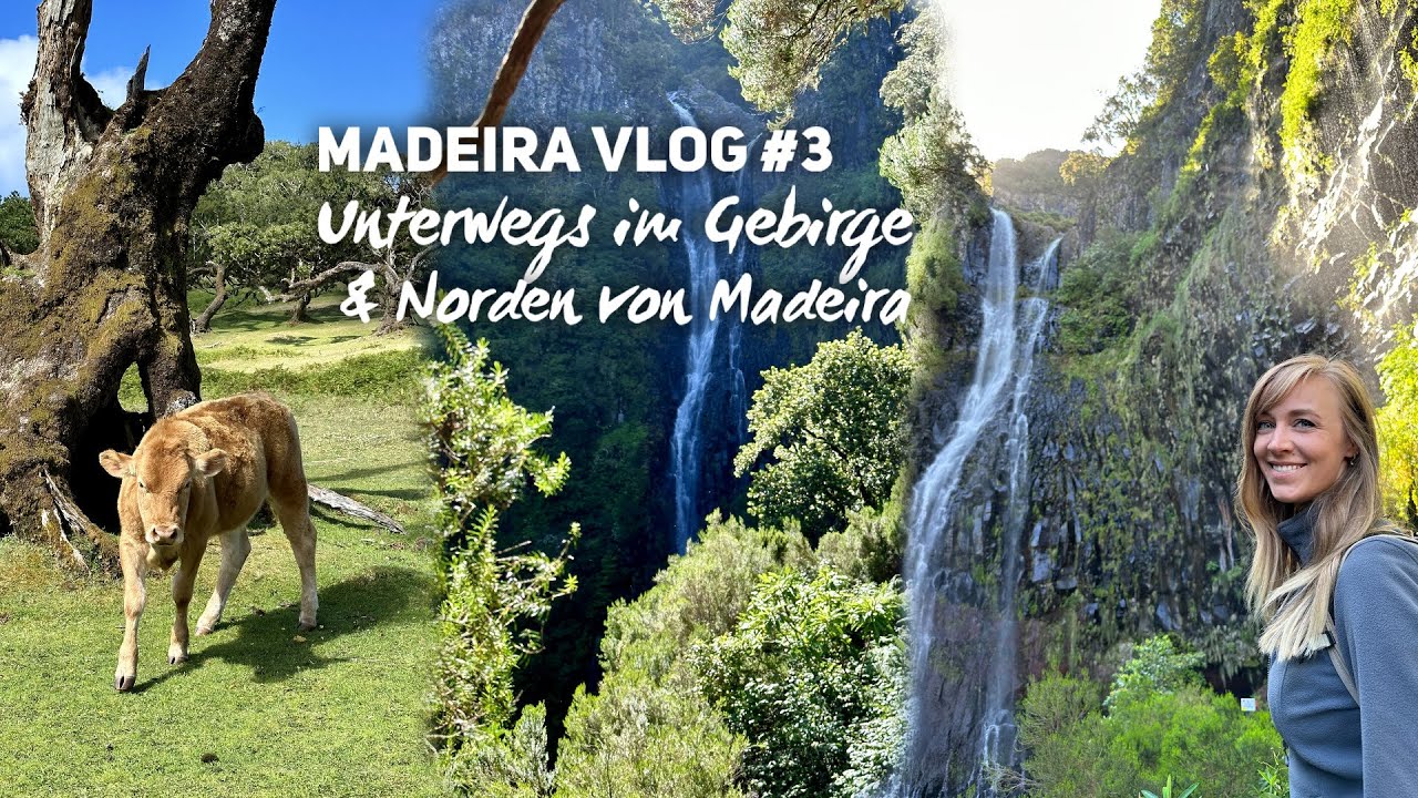 Madeira Vlog #3: Levada das 25 Fontes, Fanal und die Nordküste von Madeira
