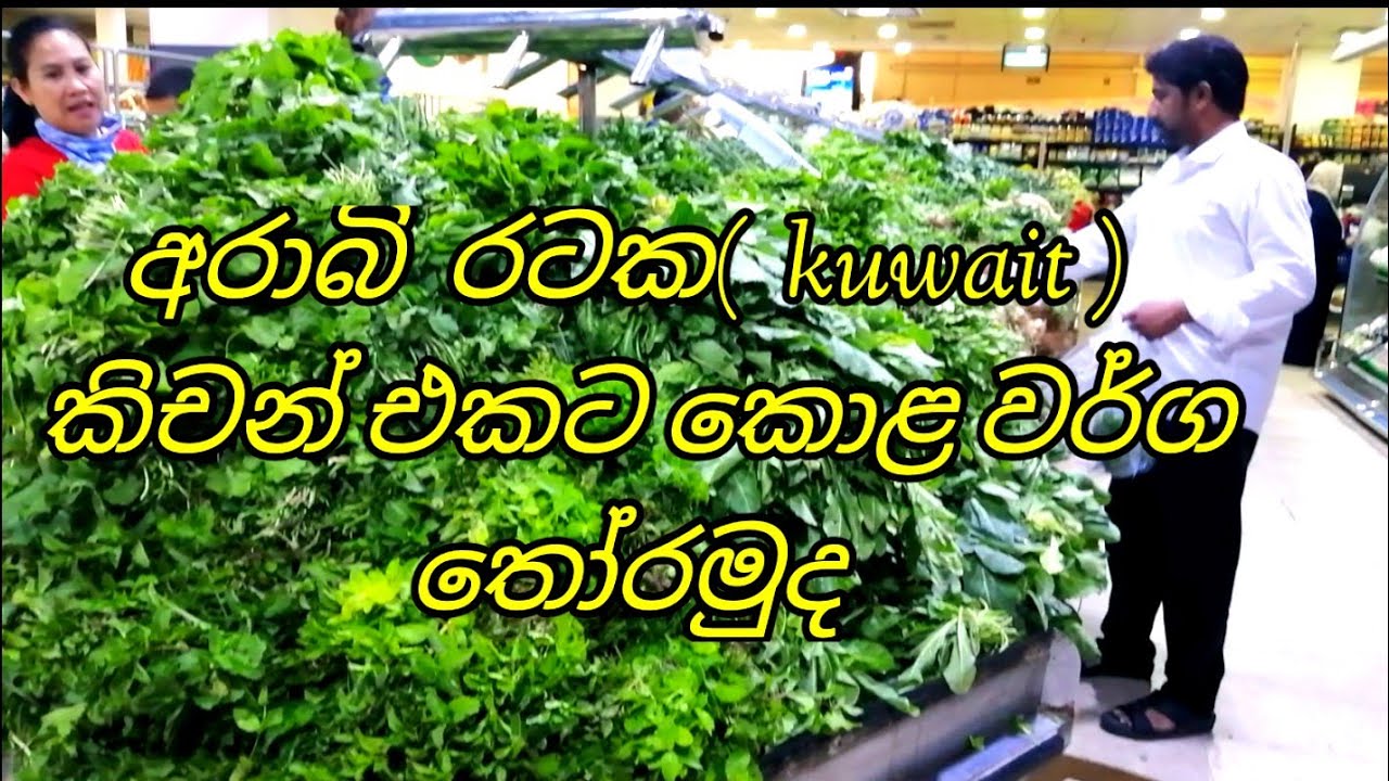 කුවයිට් අරාබි කිචන් එකට අත්‍යාවශ්‍ය  කොළ වර්ග  8 ක් හදුනාගනිමු