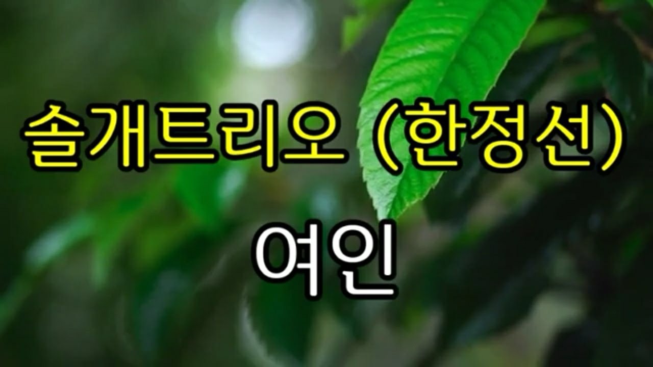 솔개트리오 (한정선) / 여인