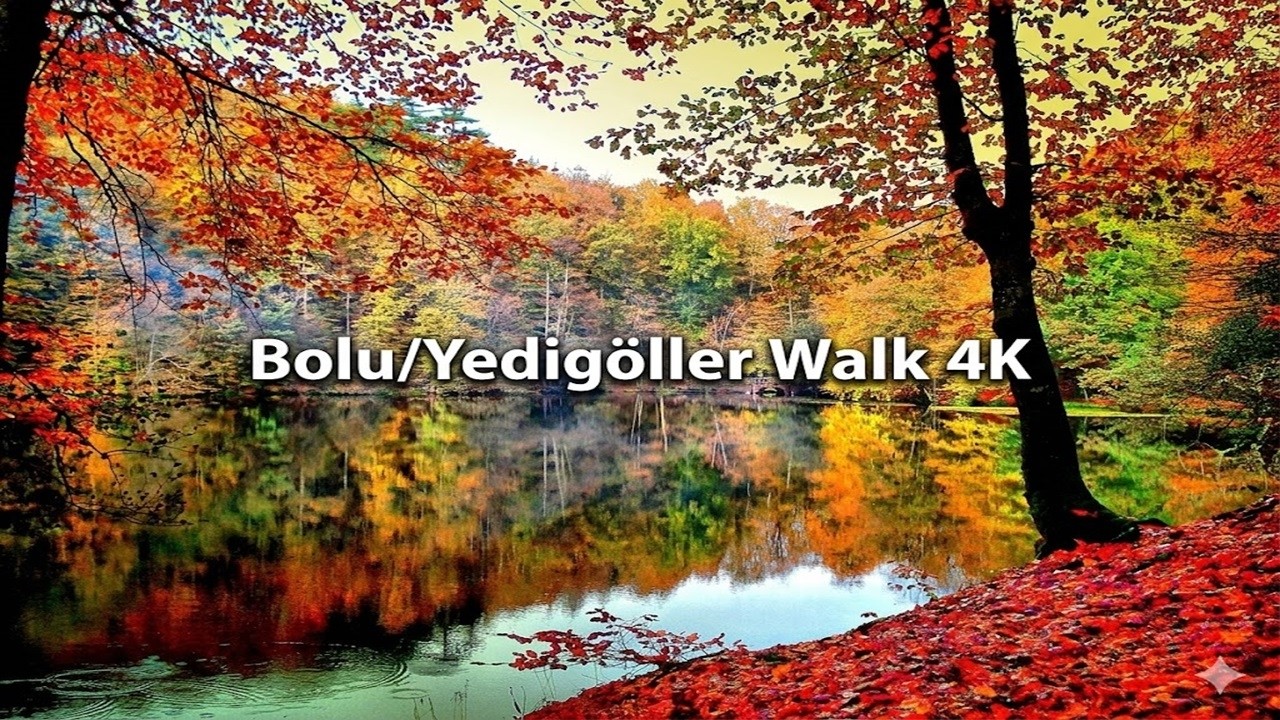 BOLU/YEDİGÖLLER WALK 4K