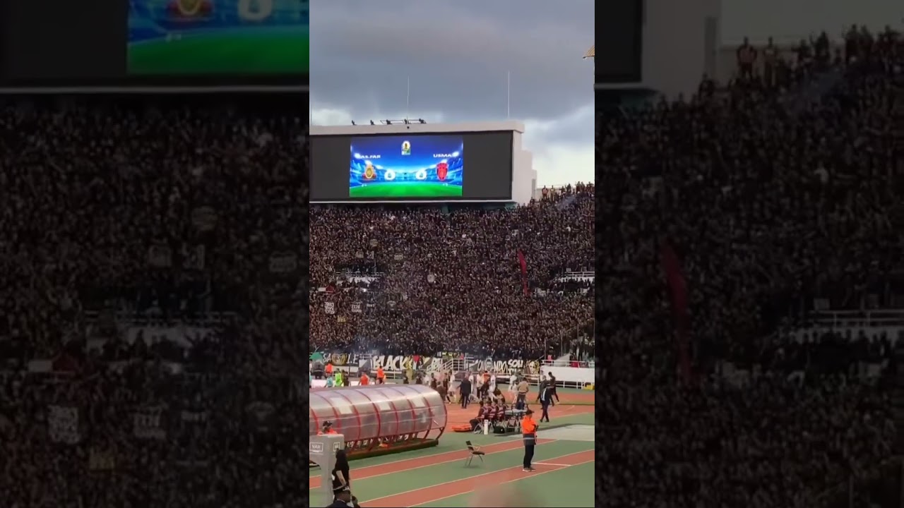 شاهد كل ما قدمته جماهير الجيش الملكي في مباراة أمس ضد اتحاد العاصمة الجزائري