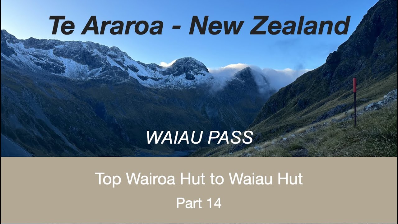Top Wairoa Hut to Waiau Hut - Te Araroa (Part 14)