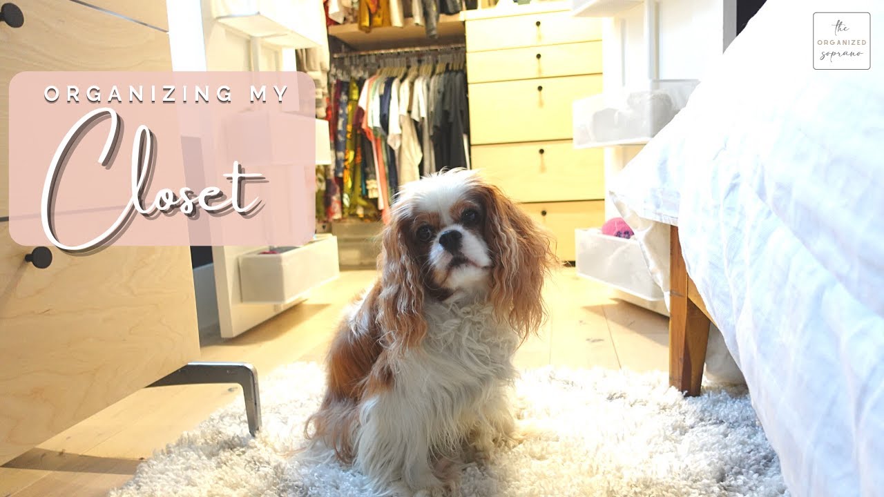 Professionally Organizing My OWN Closet | Organize With Me