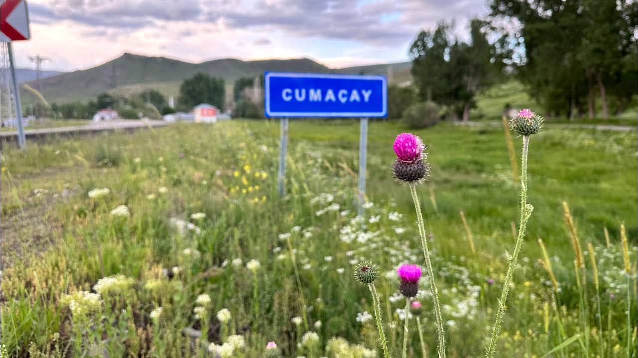 Ağrı / Merkez / Cumaçay Köyü