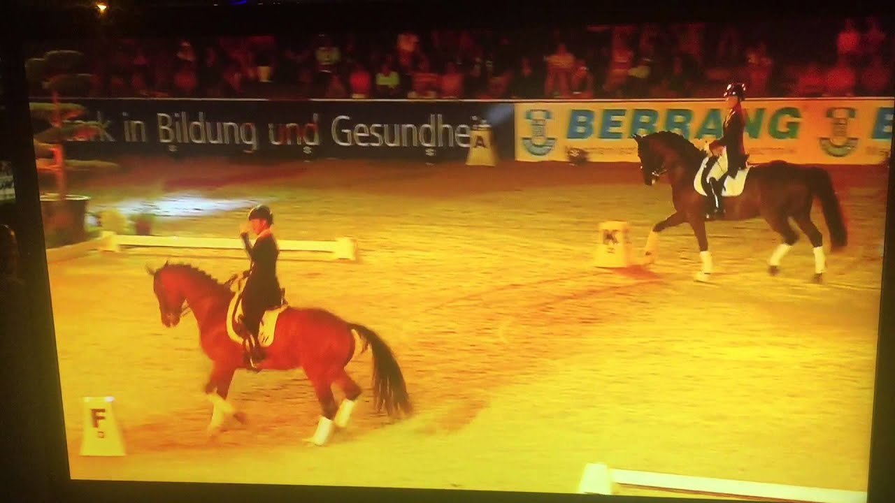 Galaabend CSIO 2015 095