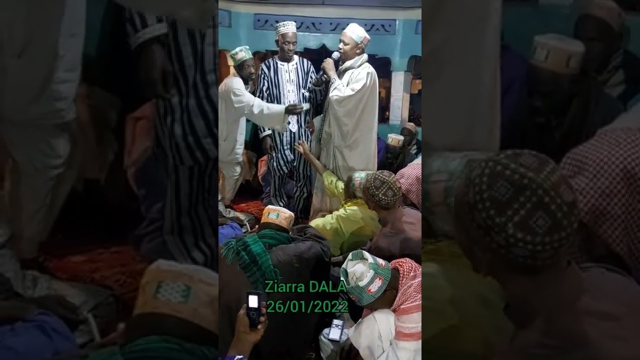 ZIARRA DALA 5