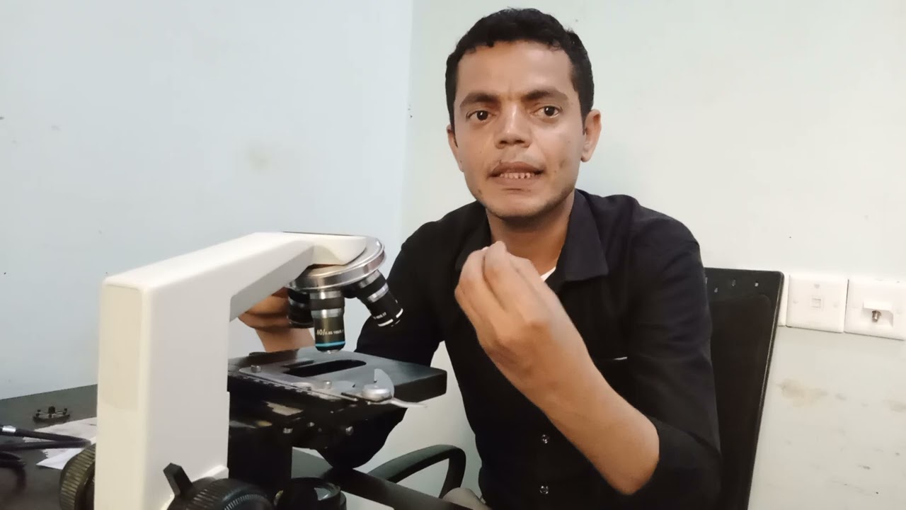 أستخدام جهاز الميكروسكوب في المختبر مع شرح تركيب الميكروسكوب بشكل عملي