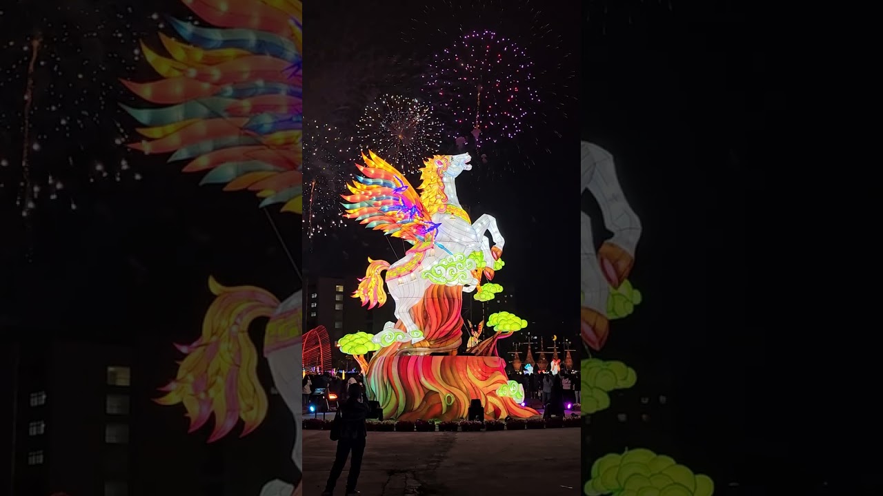 台灣燈會2026.3.3