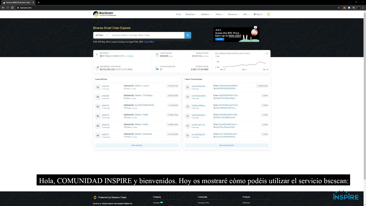 BSC Scan Turorial