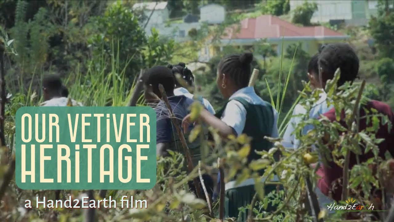 Our Vetiver Heritage