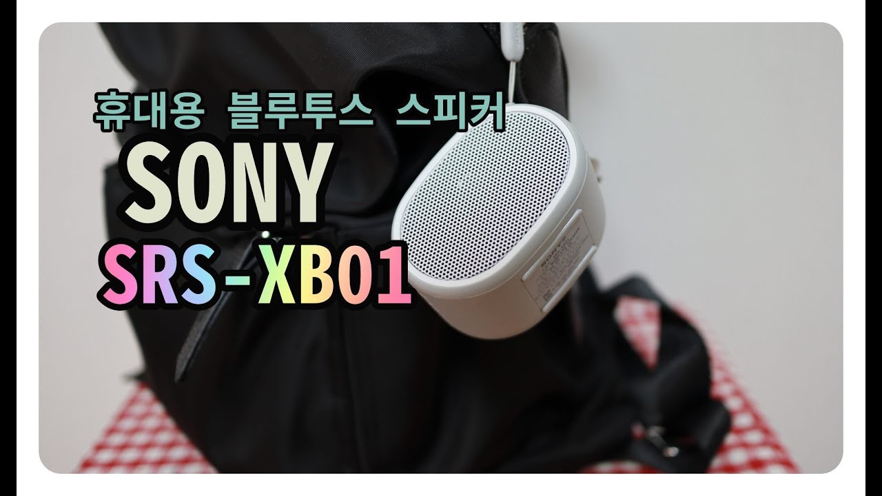 소니 휴대용 블루투스 스피커 srs-Xb01 여행준비물 깜찍한 방수블루투스스피커