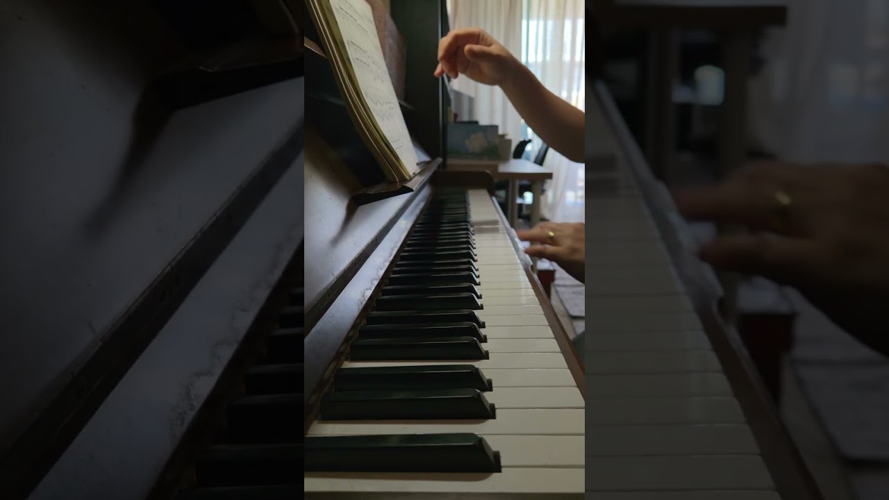 (Practice Clip)F. Chopin Etude Op.25, No.1 