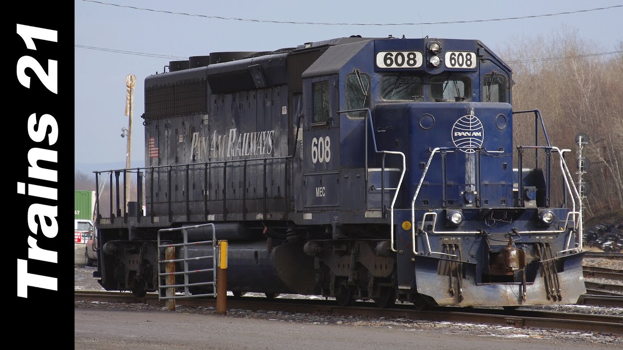 A MORNING AT TAYLOR YARD