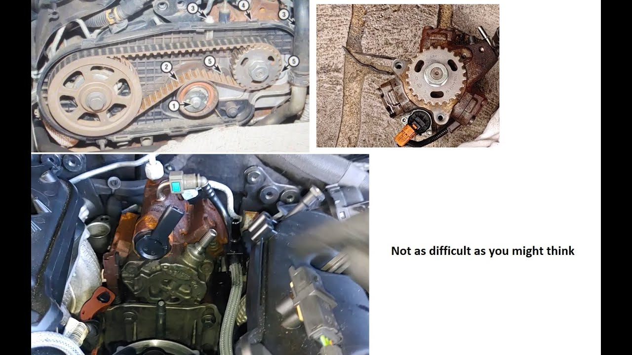 Ford Territory Injector Pump (High Pressure Fuel Pump) Removal, Belt removal Part 1