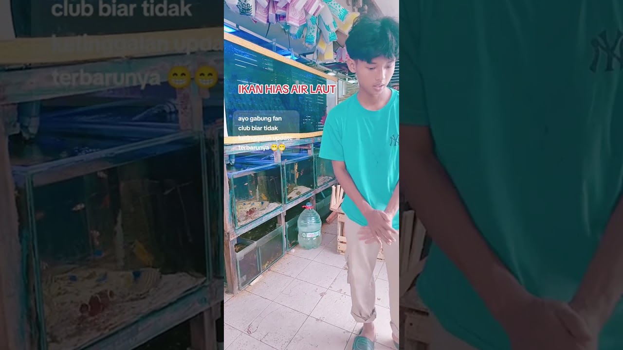 Ikan hias air laut pasar ikan hias gunung sari surabaya toko samudera aquarium