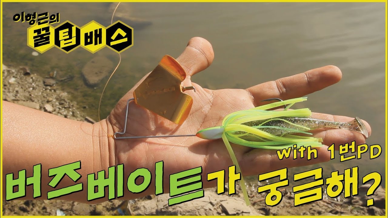 [꿀팁배스 Ep44] 배스낚시 버즈베이트 : 입문자편 Tips of Buzzbait for Beginners