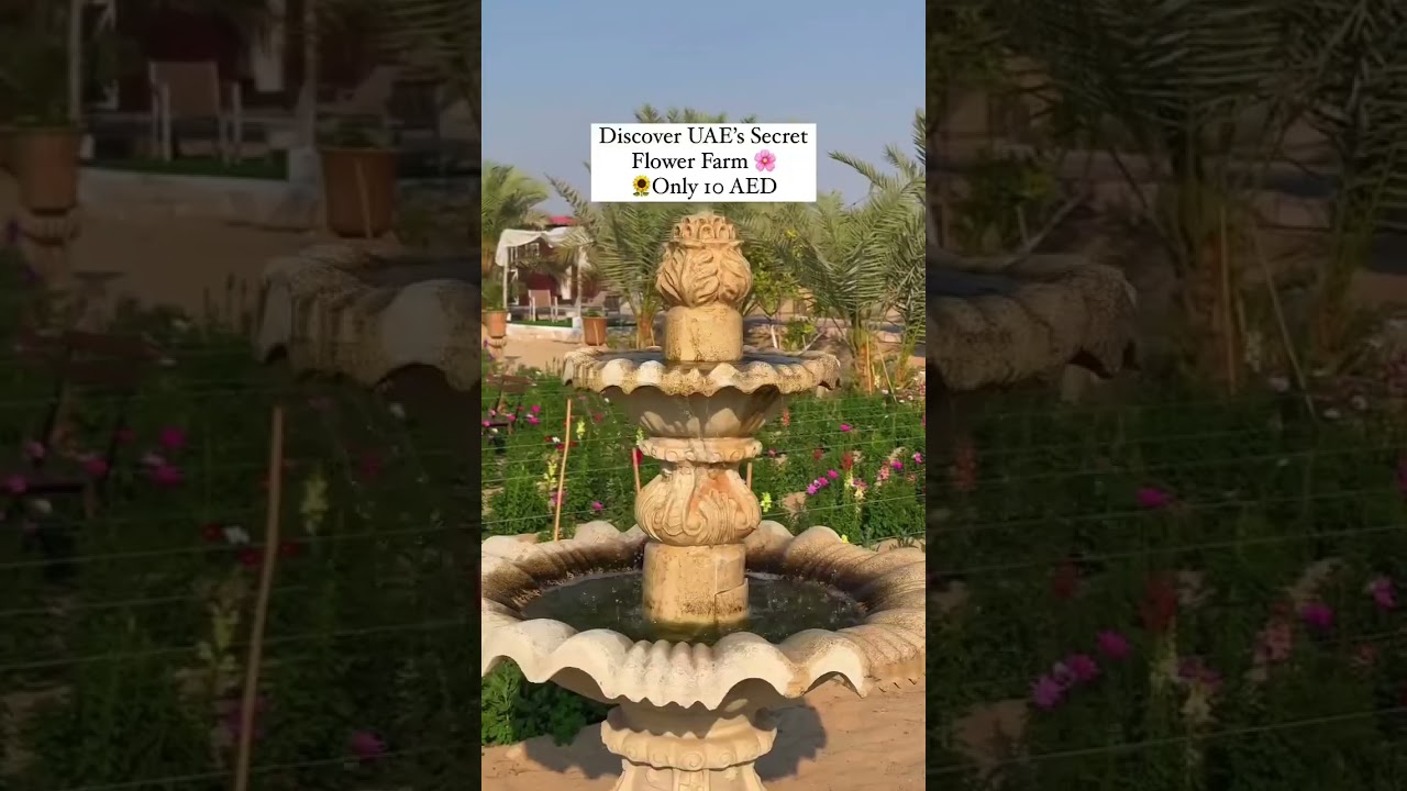 Must visit farm in Abu Dhabi , flower farm UAE